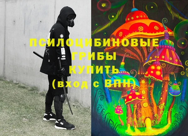 ALPHA-PVP Богородицк