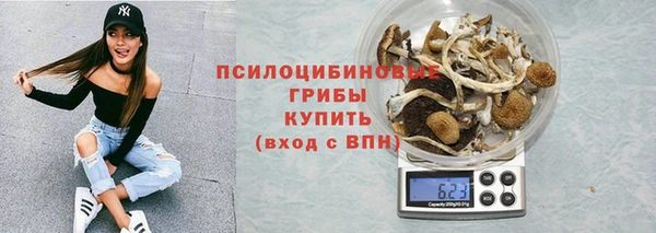 ALPHA-PVP Богородицк