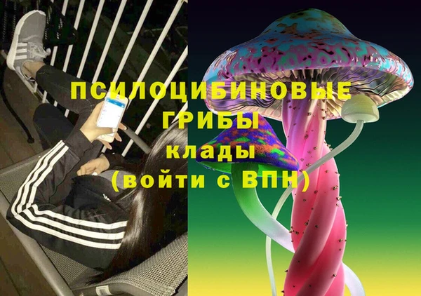 ALPHA-PVP Богородицк
