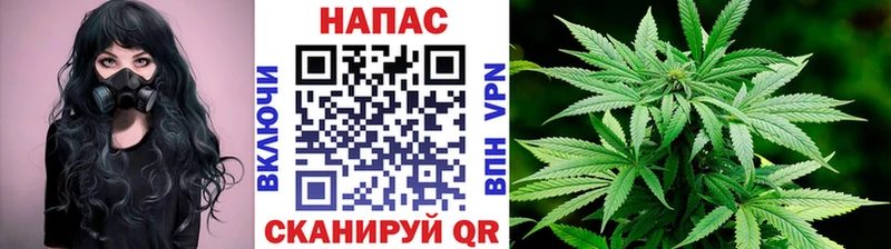 цена   Йошкар-Ола  Бошки марихуана сатива 